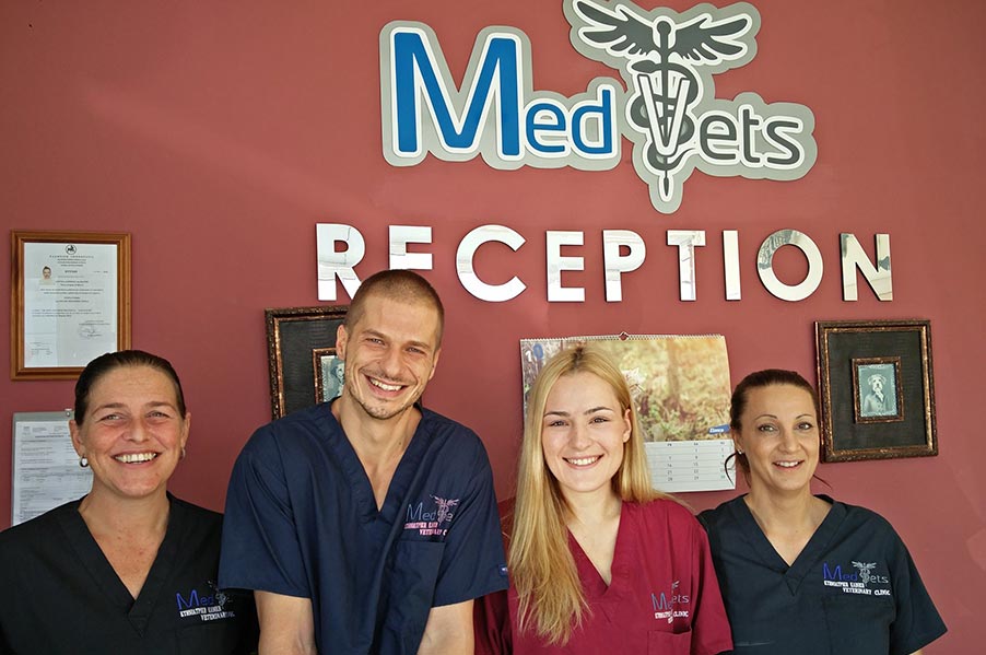 Medvets Veterinary Clinic - Grooming Salon