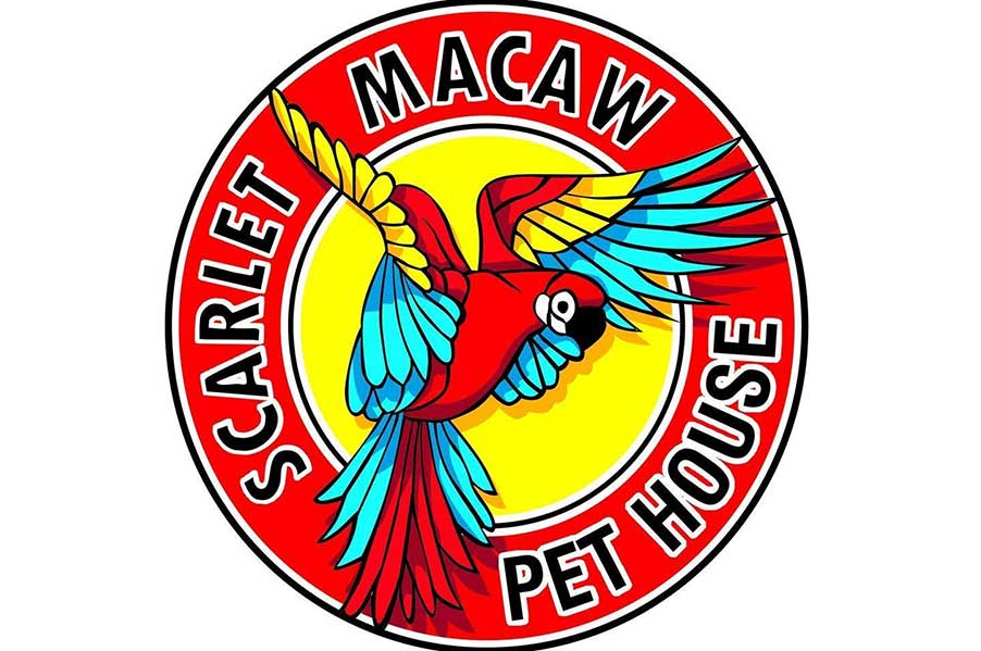 Panicch Scarlet Macaw Petshop