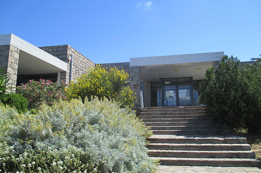 Natural History Museum of the Petrified Forest of Lesvos