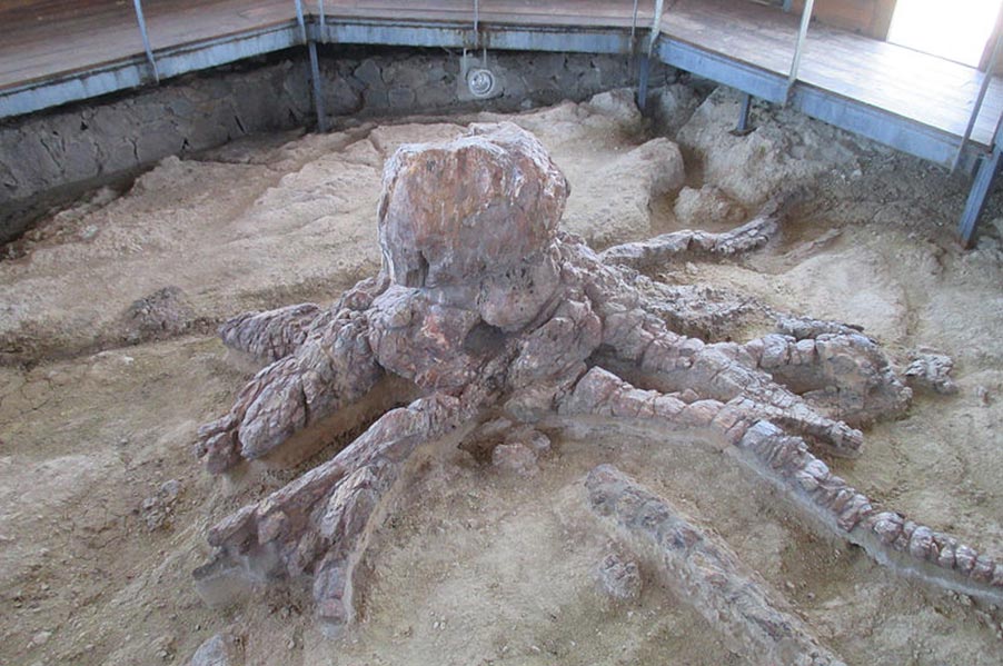 Natural History Museum of the Petrified Forest of Lesvos