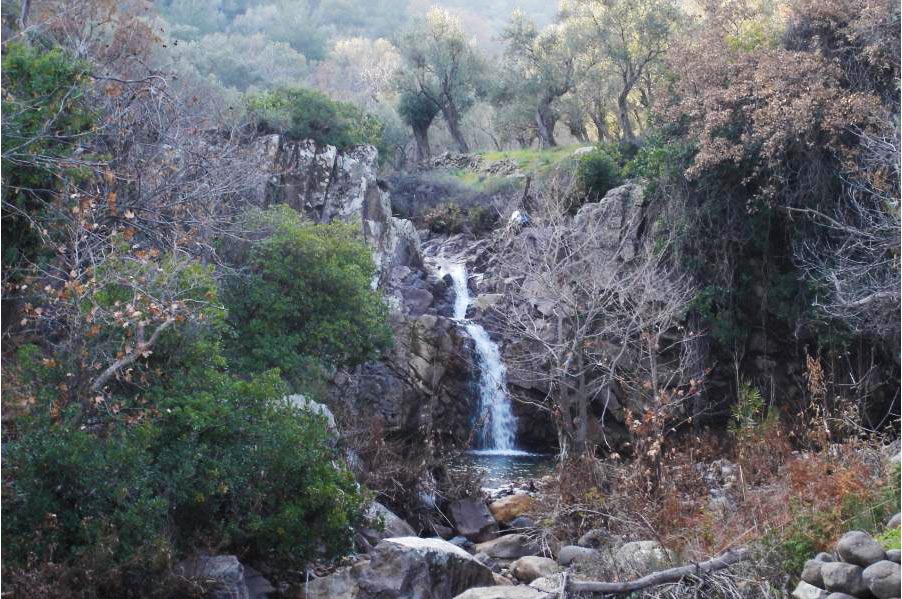 Watefalls of Parakila