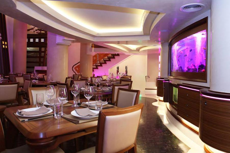 Chi Lounge- Modern Chinese Cuisine