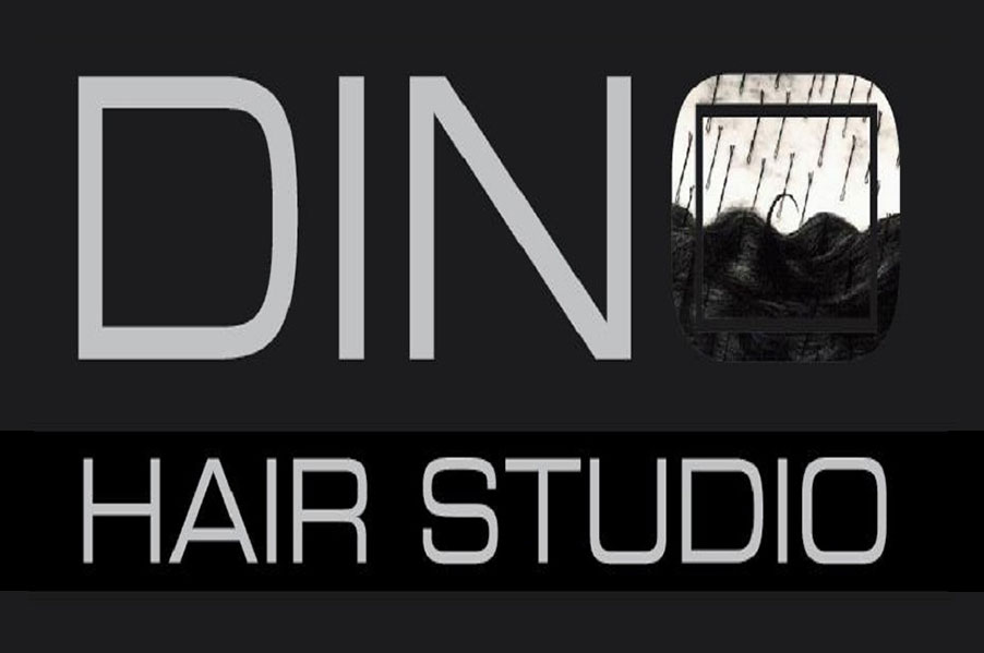 Dino Hair Studio