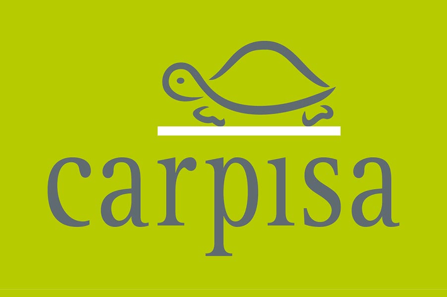 Carpisa Bags