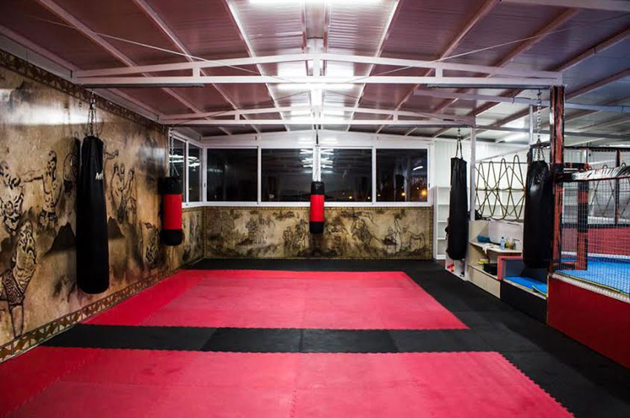MMA School The Cage