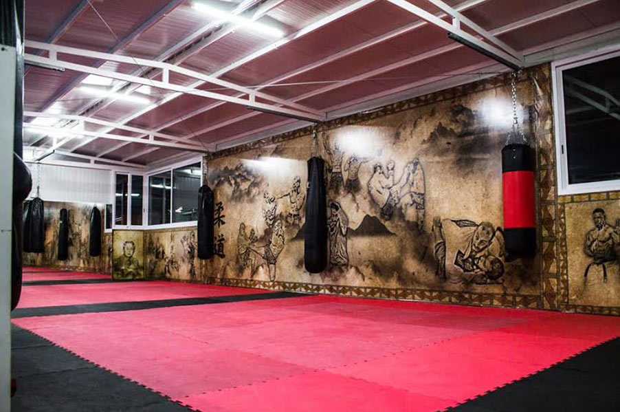 MMA School The Cage