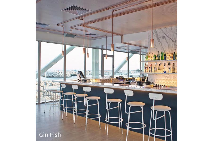 Gin Fish