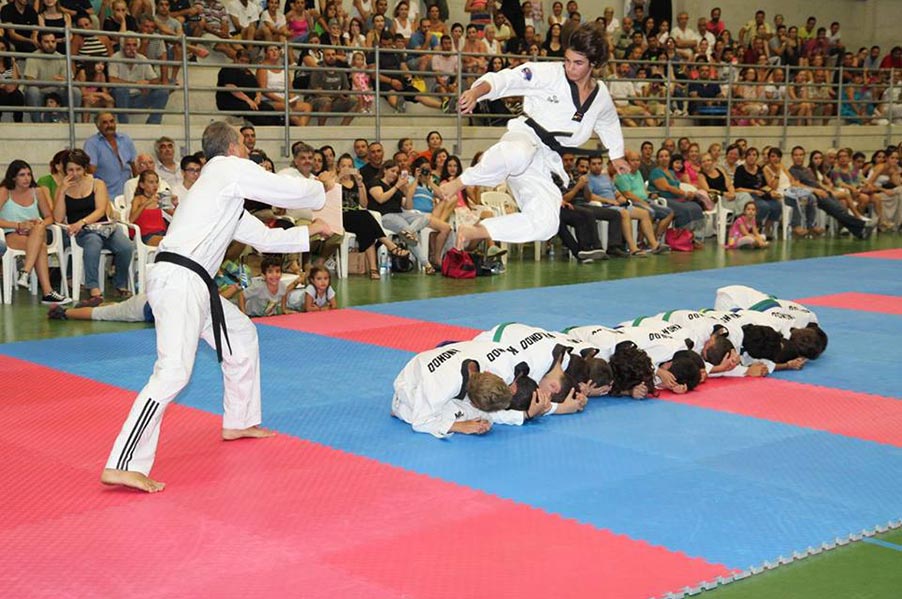 Pambos Taekwondo Center
