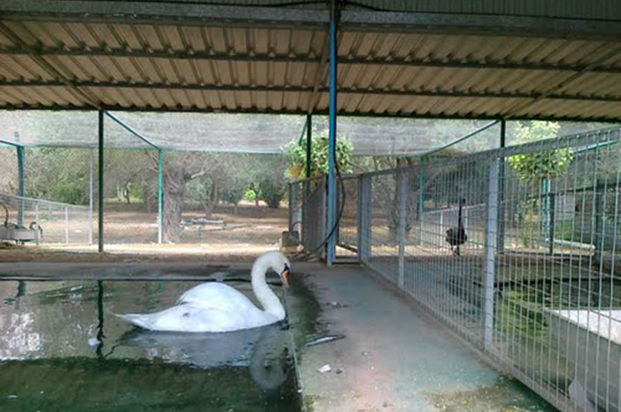 Metochi Kykkou Zoo Garden