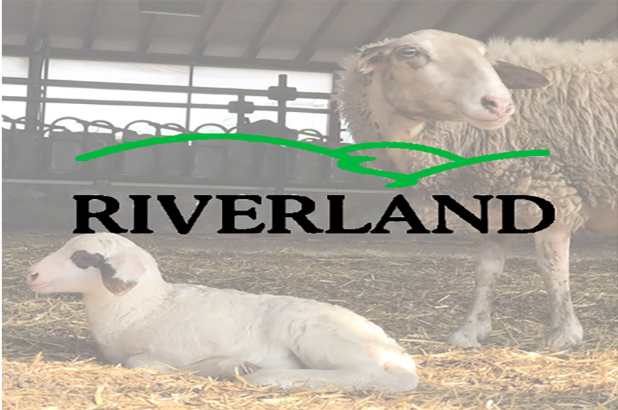 Riverland Adventure Diary Bio Farm