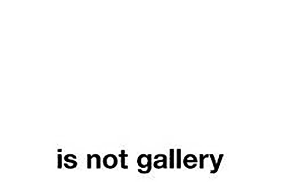 Is Not Gallery, Gallery