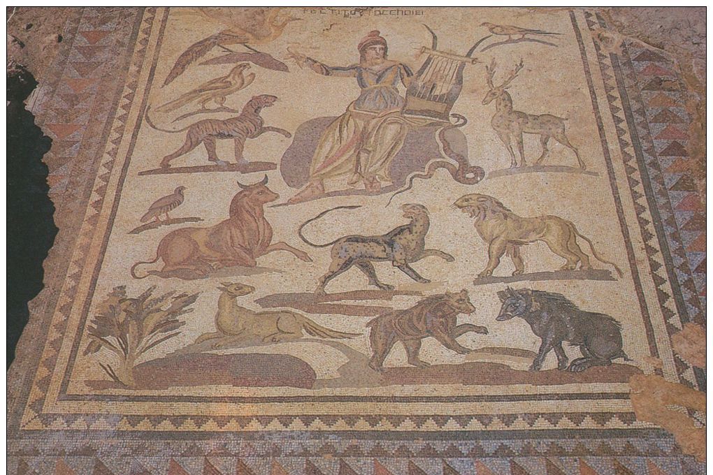 Paphos Mosaics